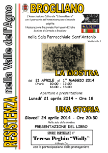Mostra a Brogliano 2014