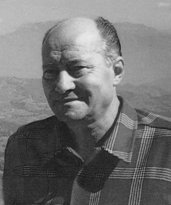 Innocente Fattori "Flop"